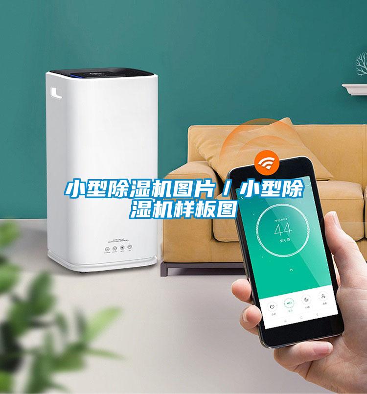小型草莓视频APP在线观看图片／小型草莓视频APP在线观看样板图