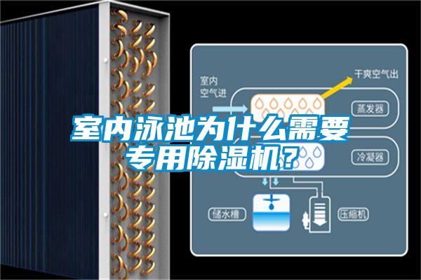 室内泳池为什么需要专用草莓视频APP在线观看？