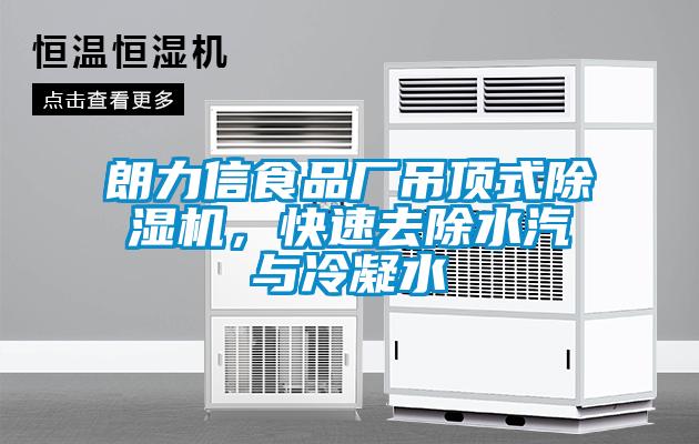 朗力信食品厂吊顶式草莓视频APP在线观看，快速去除水汽与冷凝水