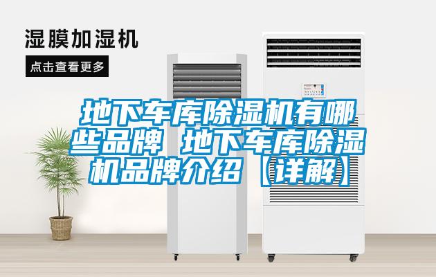地下车库草莓视频APP在线观看有哪些品牌 地下车库草莓视频APP在线观看品牌介绍【详解】