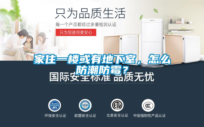 家住一楼或有地下室，怎么防潮防霉？