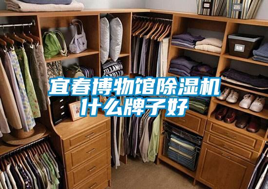 宜春博物馆草莓视频APP在线观看什么牌子好