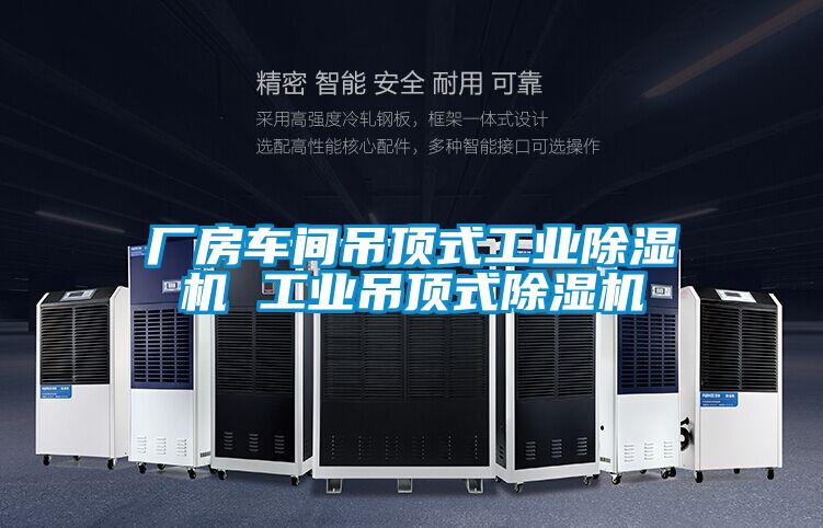 厂房车间吊顶式工业草莓视频APP在线观看 工业吊顶式草莓视频APP在线观看