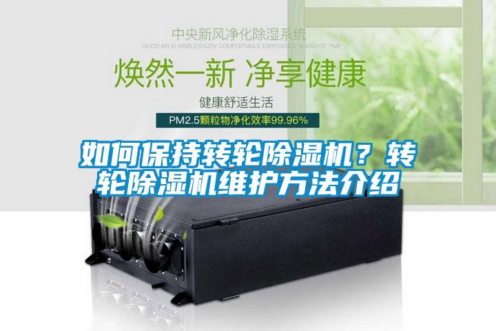 如何保持转轮草莓视频APP在线观看？转轮草莓视频APP在线观看维护方法介绍