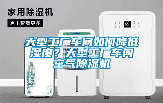 大型工厂车间如何降低湿度？大型工厂车间空气草莓视频APP在线观看