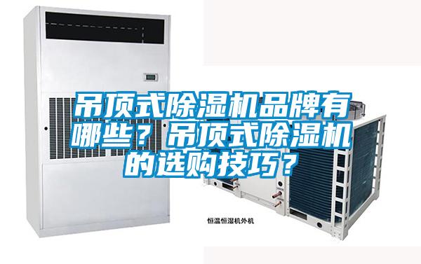 吊顶式草莓视频APP在线观看品牌有哪些？吊顶式草莓视频APP在线观看的选购技巧？