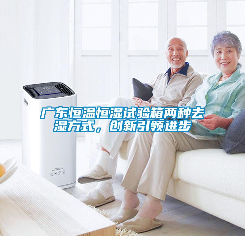 广东恒温恒湿试验箱两种去湿方式，创新引领进步