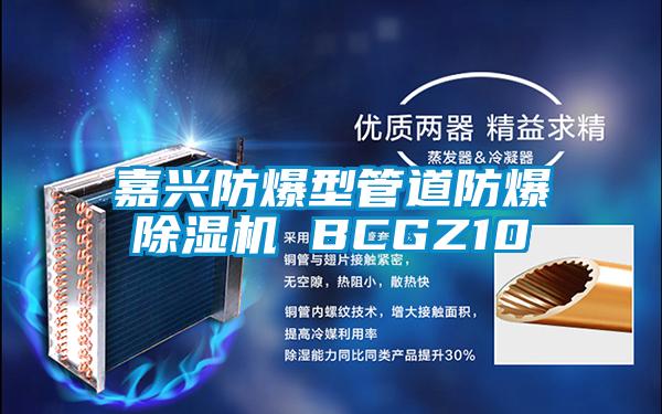 嘉兴防爆型管道防爆草莓视频APP在线观看 BCGZ10