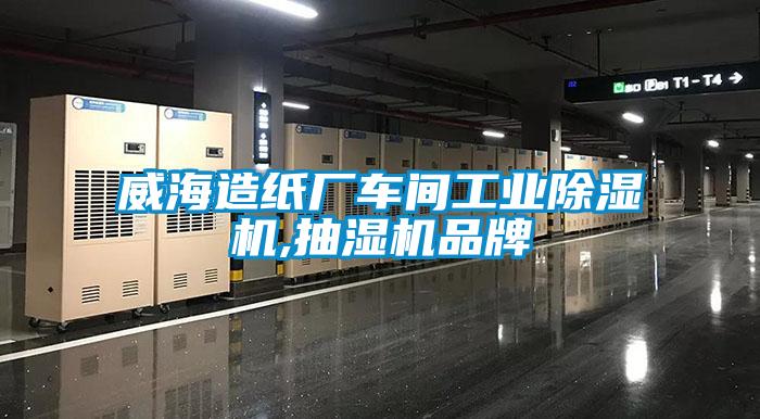 威海造纸厂车间工业草莓视频APP在线观看,抽湿机品牌