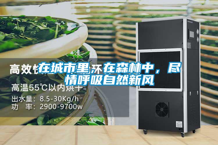 在城市里，在森林中，尽情呼吸自然新风