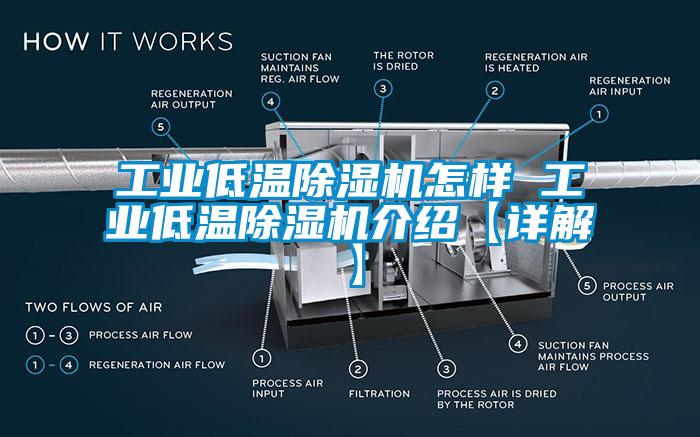 工业低温草莓视频APP在线观看怎样 工业低温草莓视频APP在线观看介绍【详解】