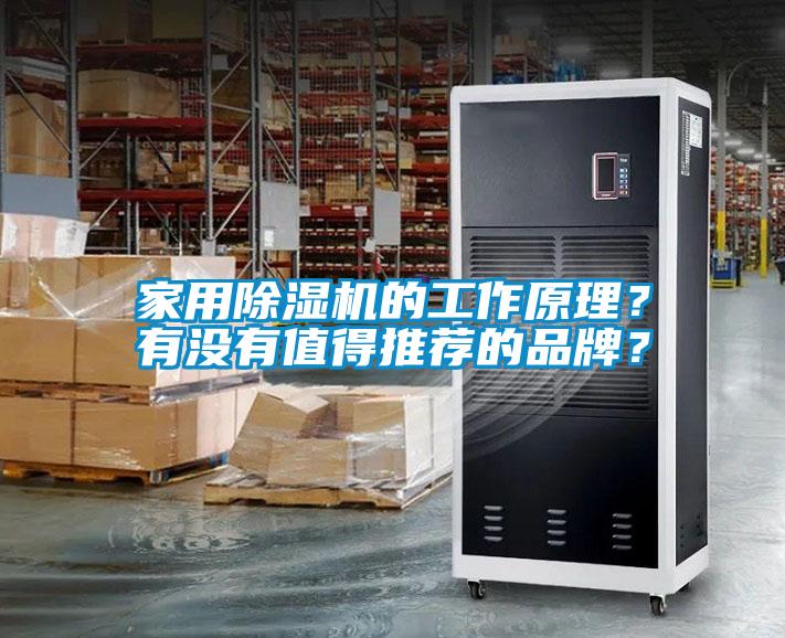 家用草莓视频APP在线观看的工作原理？有没有值得推荐的品牌？