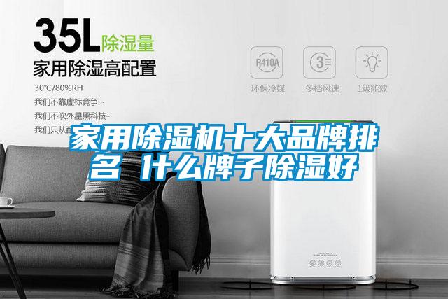 家用草莓视频APP在线观看十大品牌排名 什么牌子除湿好