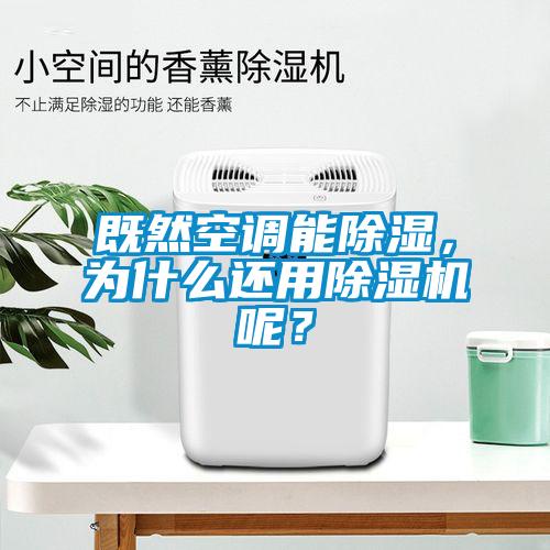 既然空调能除湿，为什么还用草莓视频APP在线观看呢？