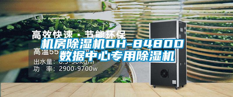 机房草莓视频APP在线观看DH-8480D 数据中心专用草莓视频APP在线观看