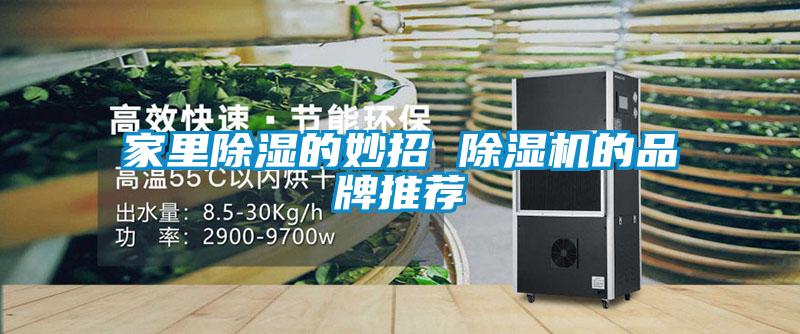 家里除湿的妙招 草莓视频APP在线观看的品牌推荐