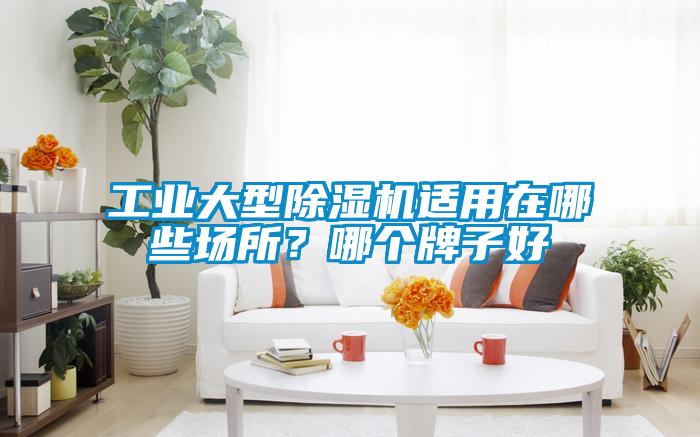工业大型草莓视频APP在线观看适用在哪些场所？哪个牌子好