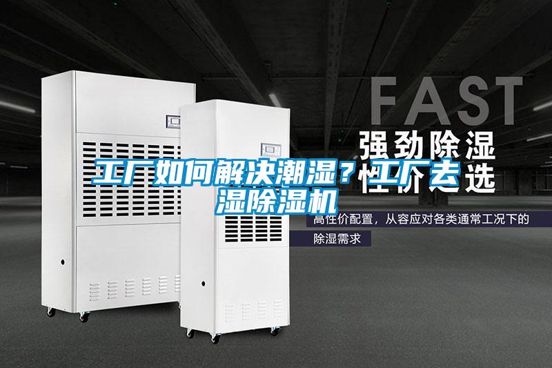 工厂如何解决潮湿？工厂去湿草莓视频APP在线观看