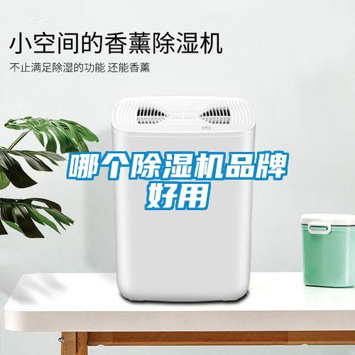 哪个草莓视频APP在线观看品牌好用