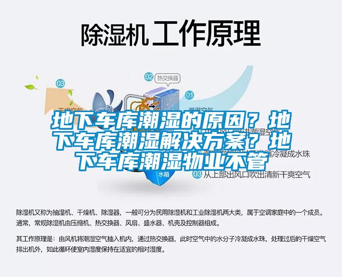 地下车库潮湿的原因？地下车库潮湿草莓成人在线观看？地下车库潮湿物业不管
