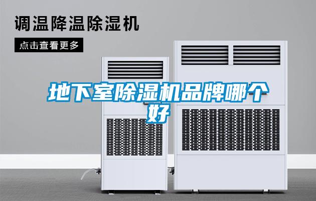 地下室草莓视频APP在线观看品牌哪个好
