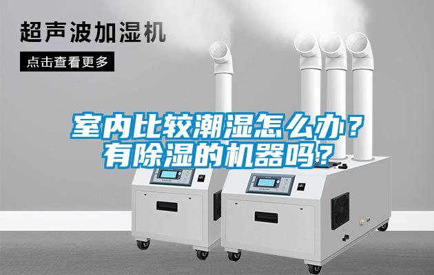 室内比较潮湿怎么办？有除湿的机器吗？