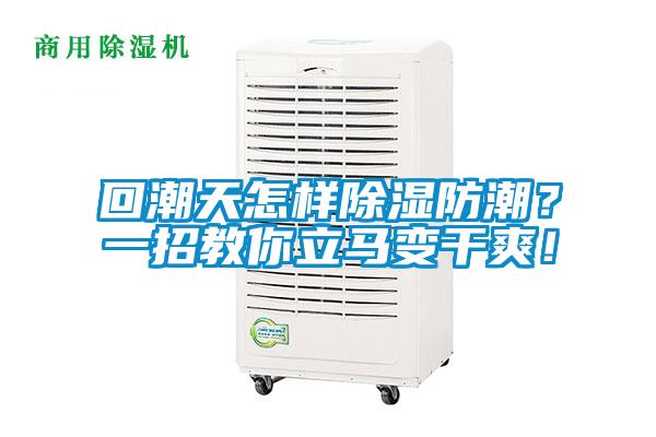 回潮天怎样除湿防潮？一招教你立马变干爽！