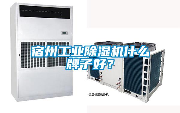 宿州工业草莓视频APP在线观看什么牌子好？
