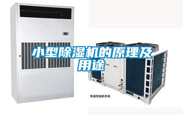 小型草莓视频APP在线观看的原理及用途