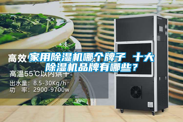 家用草莓视频APP在线观看哪个牌子 十大草莓视频APP在线观看品牌有哪些？