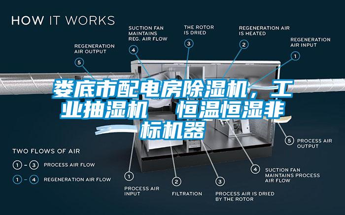 娄底市配电房草莓视频APP在线观看，工业抽湿机  恒温恒湿非标机器
