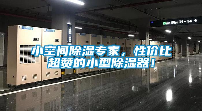 小空间除湿专家，性价比超赞的小型除湿器！