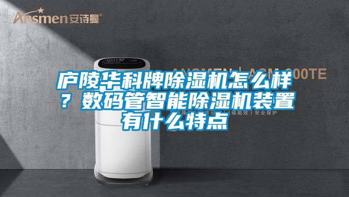 庐陵华科牌草莓视频APP在线观看怎么样？数码管智能草莓视频APP在线观看装置有什么特点