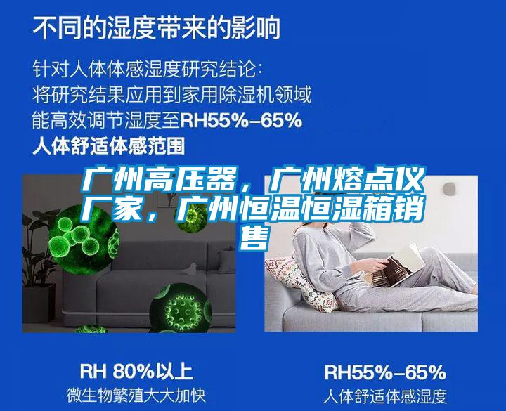 广州高压器，广州熔点仪厂家，广州恒温恒湿箱销售