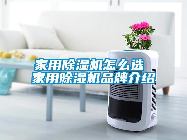 家用草莓视频APP在线观看怎么选 家用草莓视频APP在线观看品牌介绍