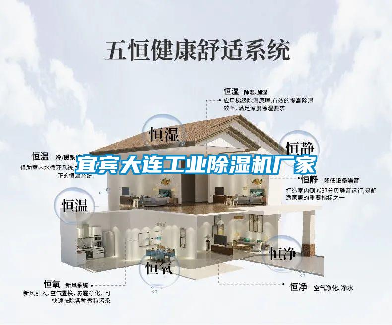 宜宾大连工业草莓视频APP在线观看厂家