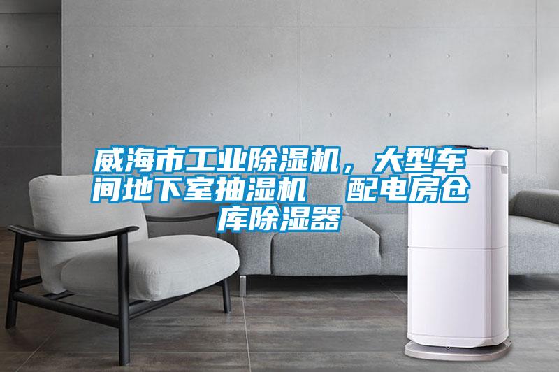 威海市工业草莓视频APP在线观看，大型车间地下室抽湿机  配电房仓库除湿器