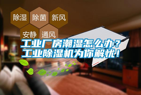 工业厂房潮湿怎么办？工业草莓视频APP在线观看为你解忧！