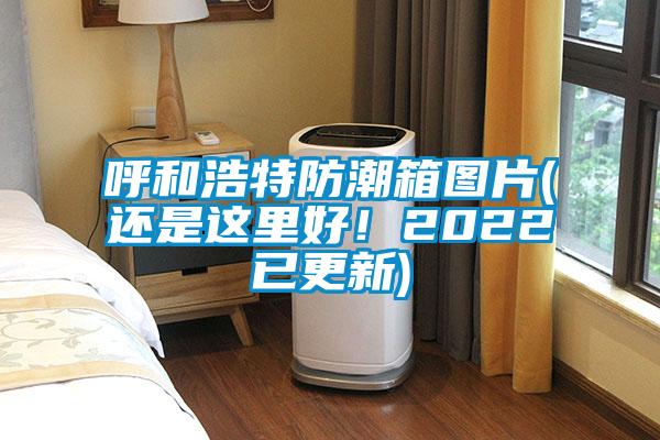 呼和浩特防潮箱图片(还是这里好！2022已更新)
