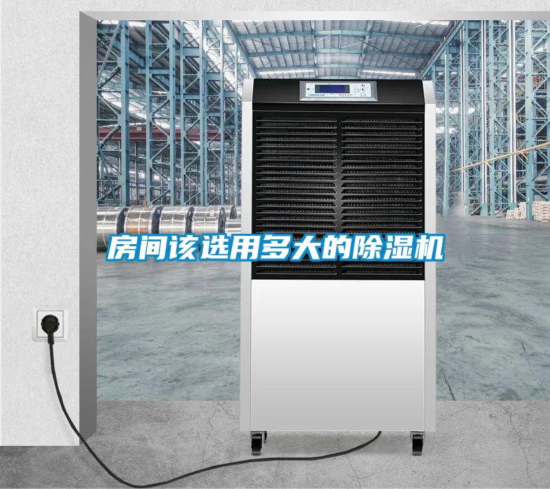 房间该选用多大的草莓视频APP在线观看