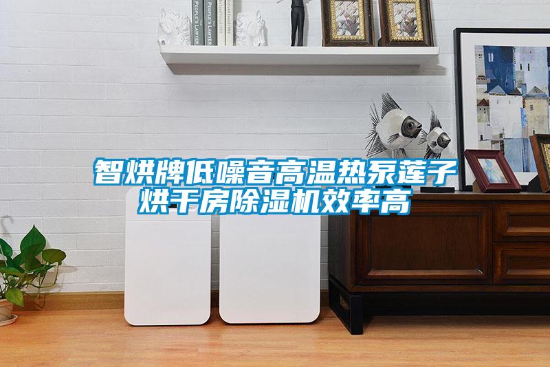 智烘牌低噪音高温热泵莲子烘干房草莓视频APP在线观看效率高