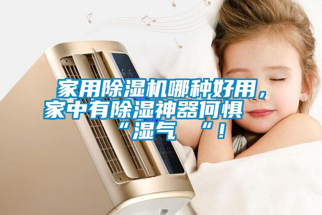 家用草莓视频APP在线观看哪种好用，家中有除湿神器何惧 “湿气 “！
