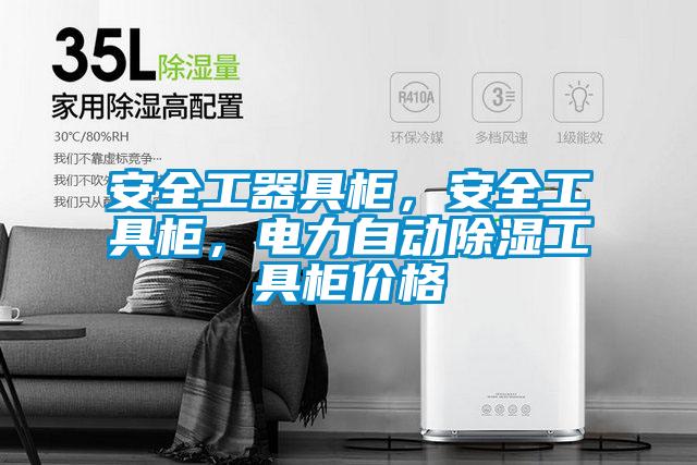 安全工器具柜，安全工具柜，电力自动除湿工具柜价格