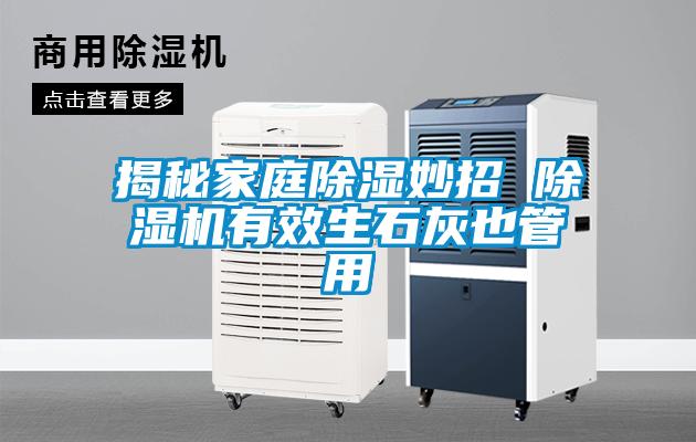 揭秘家庭除湿妙招 草莓视频APP在线观看有效生石灰也管用
