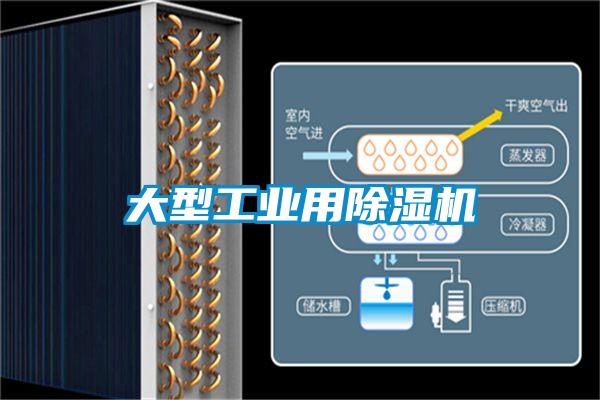 大型工业用草莓视频APP在线观看