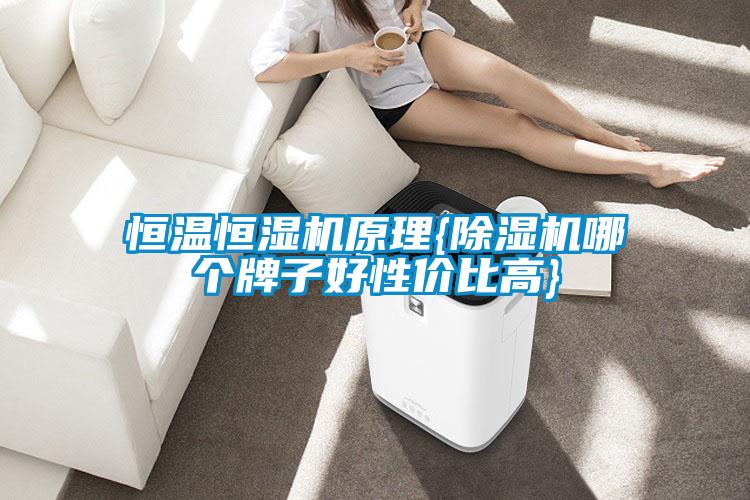 恒温恒湿机原理{草莓视频APP在线观看哪个牌子好性价比高}
