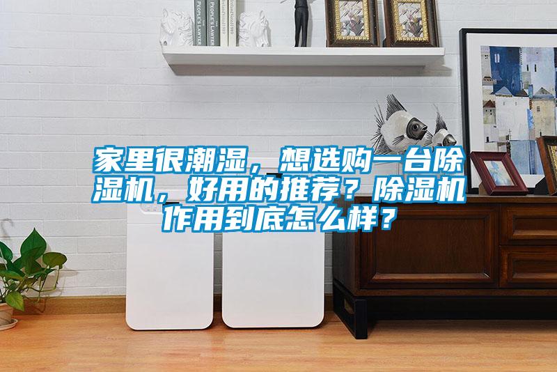 家里很潮湿，想选购一台草莓视频APP在线观看，好用的推荐？草莓视频APP在线观看作用到底怎么样？