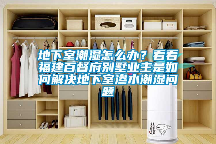 地下室潮湿怎么办？看看福建百督府别墅业主是如何解决地下室渗水潮湿问题