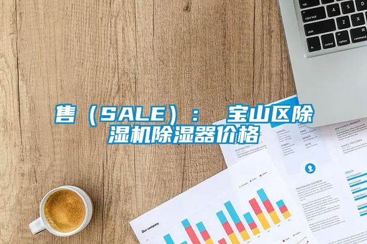 售（SALE）： 宝山区草莓视频APP在线观看除湿器价格