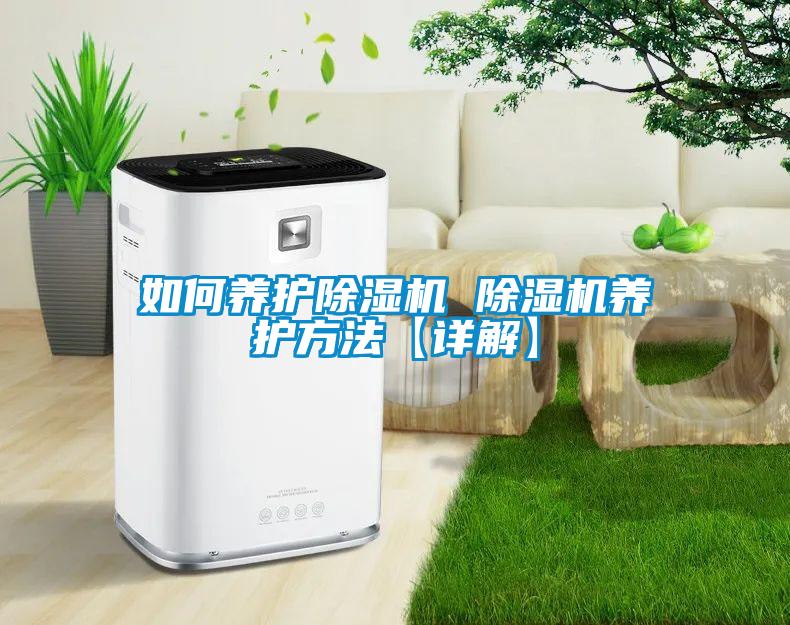 如何养护草莓视频APP在线观看 草莓视频APP在线观看养护方法【详解】